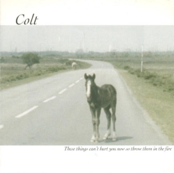 Capa do artigo These Things Can't Hurt You Now So Throw Them In The Fire - CD