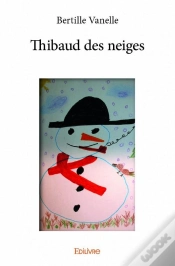 Capa do artigo Thibaud Des Neiges