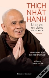 Thich Nhat Hahn ; Une Vie En Pleine Conscience