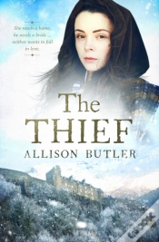 Capa do artigo Thief