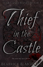 Thief In The Castle