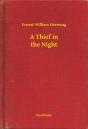 Thief In The Night - Preview