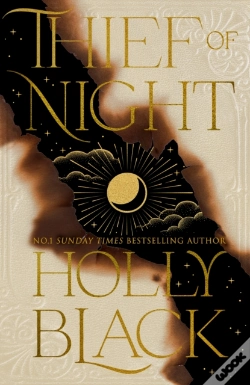 Capa do artigo Thief Of Night