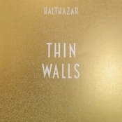 Capa do artigo Thin Walls - CD