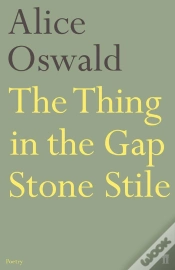Capa do artigo Thing In The Gap Stone Stile