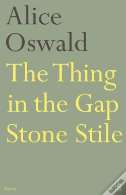 Capa do artigo Thing In The Gap Stone Stile