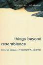Things Beyond Resemblance - Preview