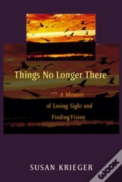Capa do artigo Things No Longer There