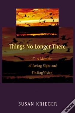 Capa do artigo Things No Longer There