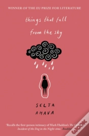 Capa do artigo Things That Fall From The Sky