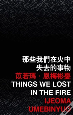Capa do artigo Things We Lost In The Fire