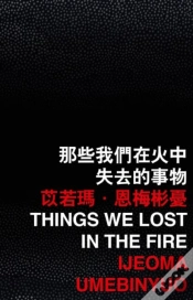 Capa do artigo Things We Lost In The Fire