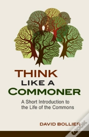 Capa do artigo Think Like A Commoner
