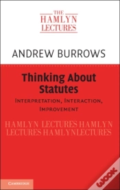 Capa do artigo Thinking About Statutes