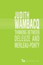 Thinking Between Deleuze And Merleau-Ponty - Preview