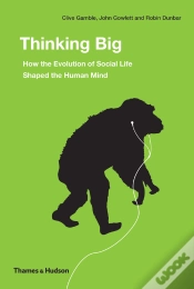 Capa do artigo Thinking Big