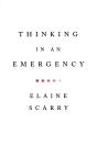 Thinking In An Emergency - Preview