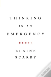 Capa do artigo Thinking In An Emergency