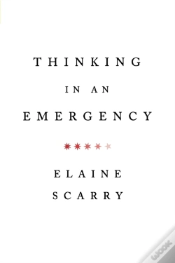 Capa do artigo Thinking In An Emergency