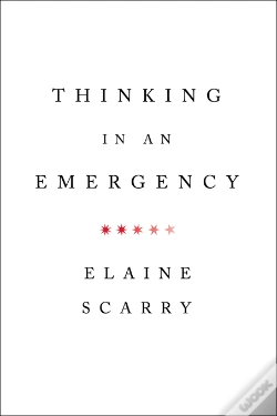 Capa do artigo Thinking In An Emergency