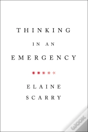 Capa do artigo Thinking In An Emergency