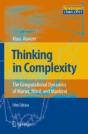 Thinking In Complexity - Preview