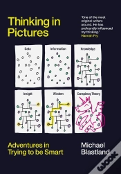 Capa do artigo Thinking In Pictures