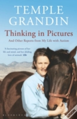 Capa do artigo Thinking In Pictures