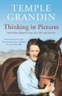 Thinking In Pictures - Preview