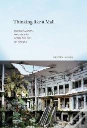 Capa do artigo Thinking Like A Mall