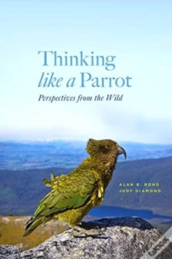 Capa do artigo Thinking Like A Parrot