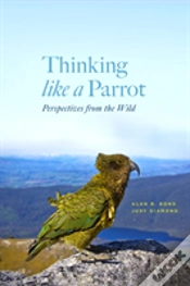 Capa do artigo Thinking Like A Parrot