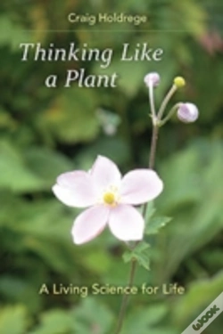 Capa do artigo Thinking Like A Plant