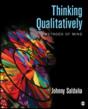 Thinking Qualitatively - Preview