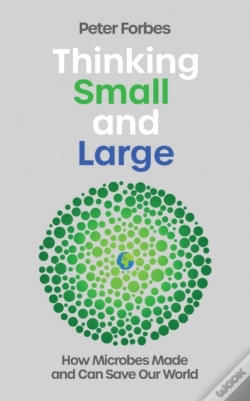 Capa do artigo Thinking Small And Large