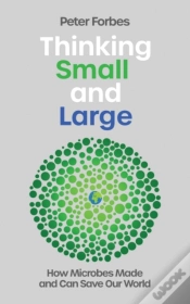 Capa do artigo Thinking Small And Large