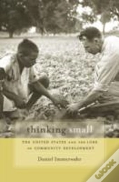 Thinking Small
