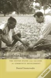 Capa do artigo Thinking Small