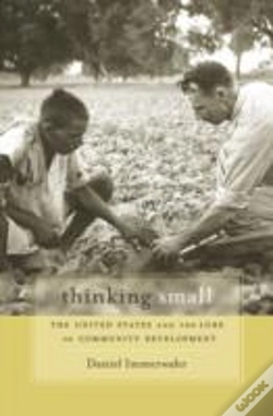 Capa do artigo Thinking Small