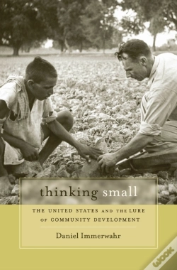 Capa do artigo Thinking Small