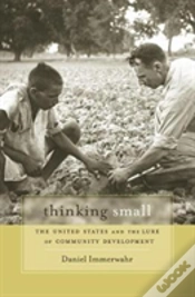 Capa do artigo Thinking Small