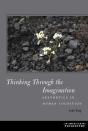 Thinking Through The Imagination - Preview