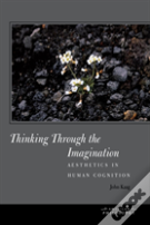 Thinking Through The Imagination