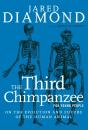 Third Chimpanzee For Young People - Preview