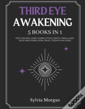 Capa do artigo Third Eye Awakening
