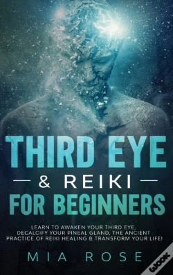 Capa do artigo Third Eye & Reiki For Beginners : Learn