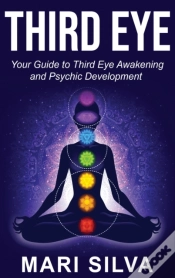 Capa do artigo Third Eye