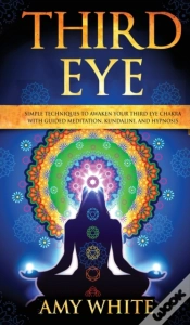 Capa do artigo Third Eye: Simple Techniques To Awaken Y