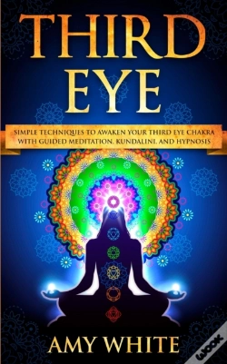 Capa do artigo Third Eye