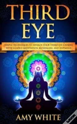 Capa do artigo Third Eye